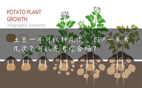 土豆一年可以种几次_​CPA一年考几次？可以先考综合吗？