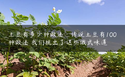 土豆有多少种做法_传说土豆有100种做法 我们挑出了这些俄式味道