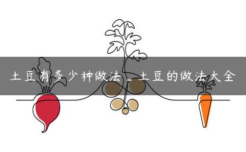 土豆有多少种做法_土豆的做法大全