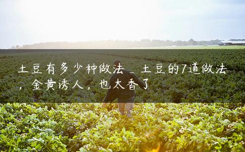 土豆有多少种做法_土豆的7道做法，金黄诱人，也太香了