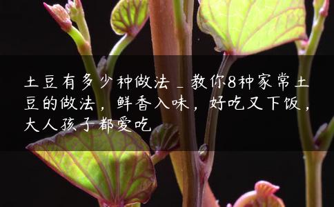 土豆有多少种做法_教你8种家常土豆的做法，鲜香入味，好吃又下饭，大人孩子都爱吃