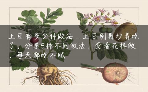 土豆有多少种做法_土豆别再炒着吃了，分享5种不同做法，变着花样做，每天都吃不腻
