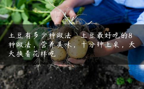 土豆有多少种做法_土豆最好吃的8种做法，营养美味，十分钟上桌，天天换着花样吃