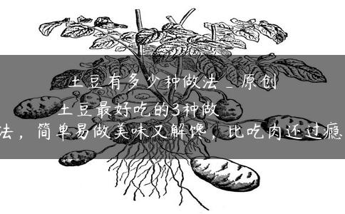土豆有多少种做法_原创
            土豆最好吃的3种做法，简单易做美味又解馋，比吃肉还过瘾！