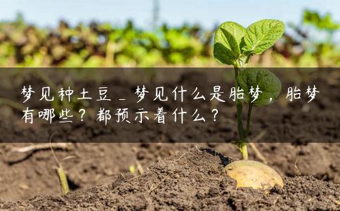 梦见种土豆_梦见什么是胎梦，胎梦有哪些？都预示着什么？