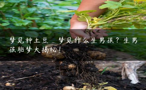 梦见种土豆_梦见什么生男孩？生男孩胎梦大揭秘！