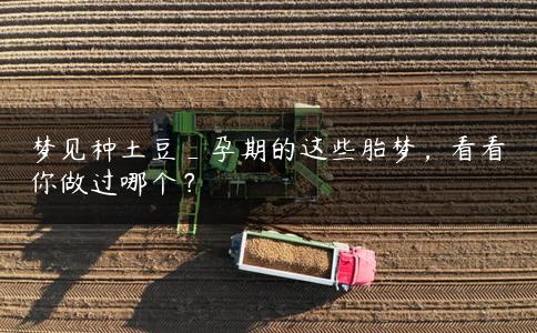 梦见种土豆_孕期的这些胎梦，看看你做过哪个？