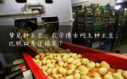 梦见种土豆_农学博士网上种土豆，比脱口秀还搞笑？
