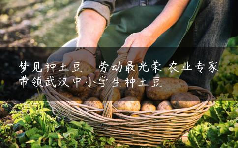 梦见种土豆_劳动最光荣 农业专家带领武汉中小学生种土豆