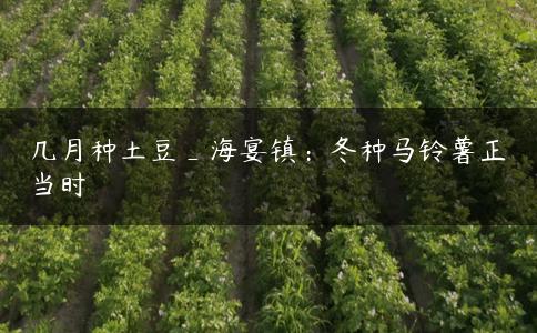 几月种土豆_海宴镇：冬种马铃薯正当时
