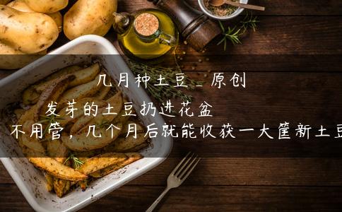 几月种土豆_原创
            发芽的土豆扔进花盆里 不用管，几个月后就能收获一大筐新土豆！