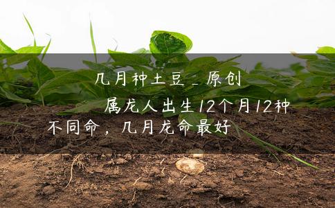几月种土豆_原创
属龙人出生12个月12种不同命,几月龙命最好 几月种土豆_原创
属龙人出生12个月12种不同命,几月龙命最好