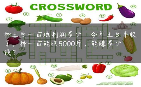 种土豆一亩地利润多少_今年土豆丰收了,种一亩能收5000斤,能赚多少钱? 种土豆一亩地利润多少_今年土豆丰收了,种一亩能收5000斤,能赚多少钱?