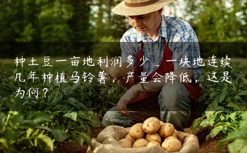 种土豆一亩地利润多少_一块地连续几年种植马铃薯,产量会降低,这是为何? 种土豆一亩地利润多少_一块地连续几年种植马铃薯,产量会降低,这是为何?