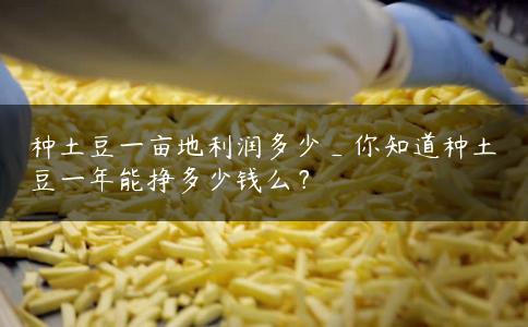种土豆一亩地利润多少_你知道种土豆一年能挣多少钱么? 种土豆一亩地利润多少_你知道种土豆一年能挣多少钱么?