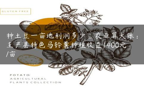 种土豆一亩地利润多少_农业算大账:主产县特色马铃薯种植收益1400元/亩 种土豆一亩地利润多少_农业算大账:主产县特色马铃薯种植收益1400元/亩