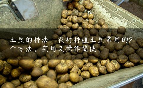 土豆的种法_农村种植土豆常用的2个方法，实用又操作简便