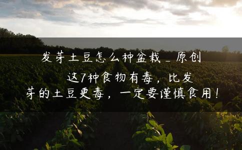 发芽土豆怎么种盆栽_原创
            这7种食物有毒，比发芽的土豆更毒，一定要谨慎食用！