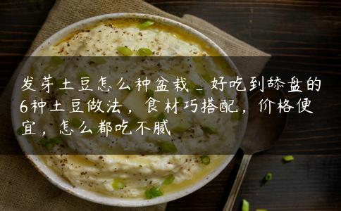 发芽土豆怎么种盆栽_好吃到舔盘的6种土豆做法，食材巧搭配，价格便宜，怎么都吃不腻