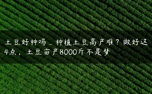 土豆好种吗_种植土豆高产难？做好这4点，土豆亩产8000斤不是梦